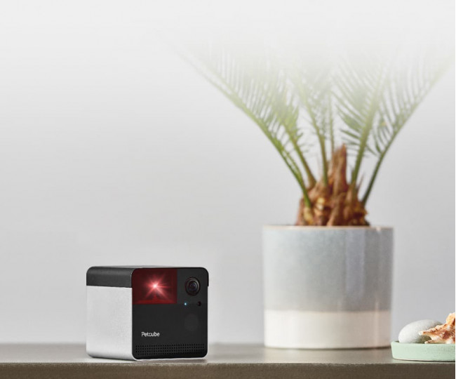 Інтерактивна камера з лазером Petcube Play 2 для домашніх тварин